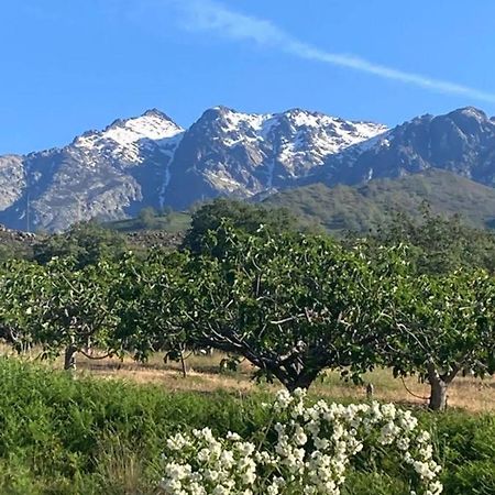 Mirada A Gredos Villa Candeleda Bagian luar foto