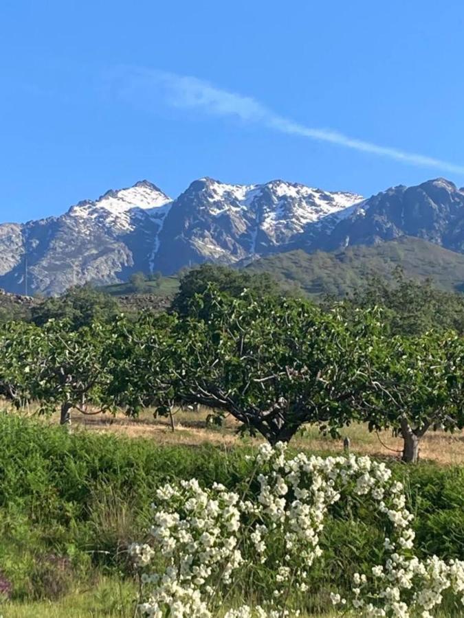 Mirada A Gredos Villa Candeleda Bagian luar foto