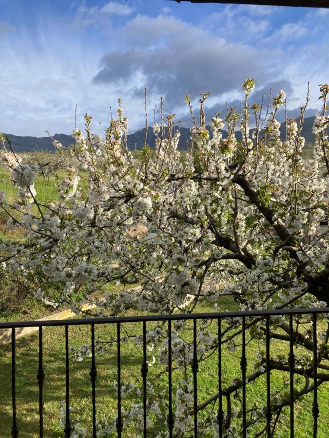 Mirada A Gredos Villa Candeleda Bagian luar foto