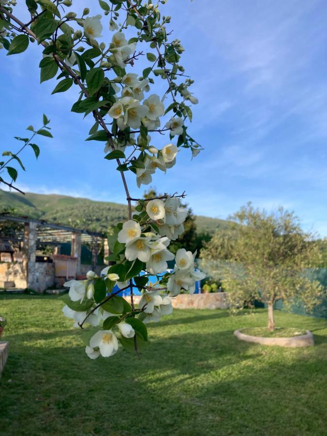 Mirada A Gredos Villa Candeleda Bagian luar foto